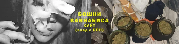 крисы Мегион
