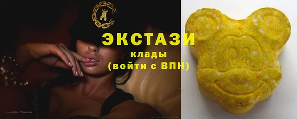 крисы Мегион