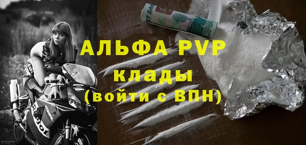 крисы Мегион