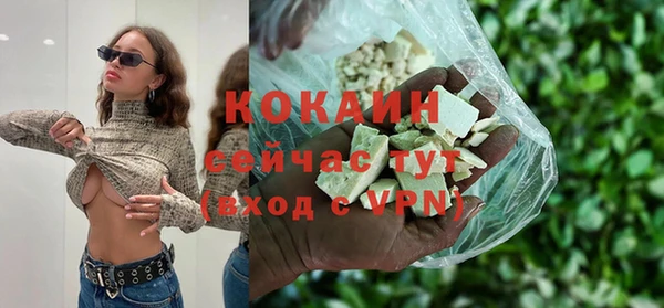 крисы Мегион