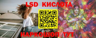 прущие грибы Кулебаки