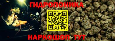 прущие грибы Кулебаки