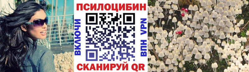 купить наркотики цена  блэк спрут ТОР  Галлюциногенные грибы ЛСД  Советск 