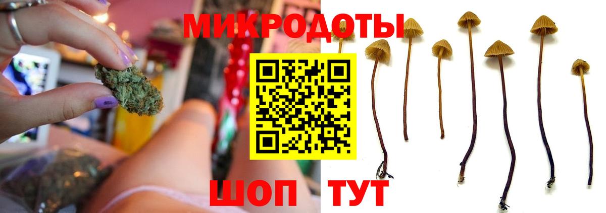 Галлюциногенные грибы Magic Shrooms  Вход с VPN  Галлюциногенные грибы Psilocybine cubensis  купить наркотик  Советск 