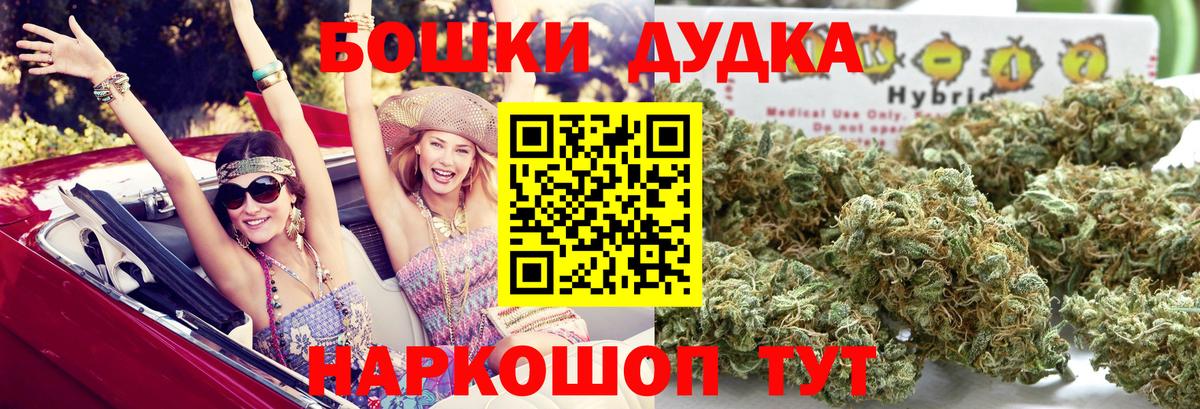 Бошки Шишки план Советск